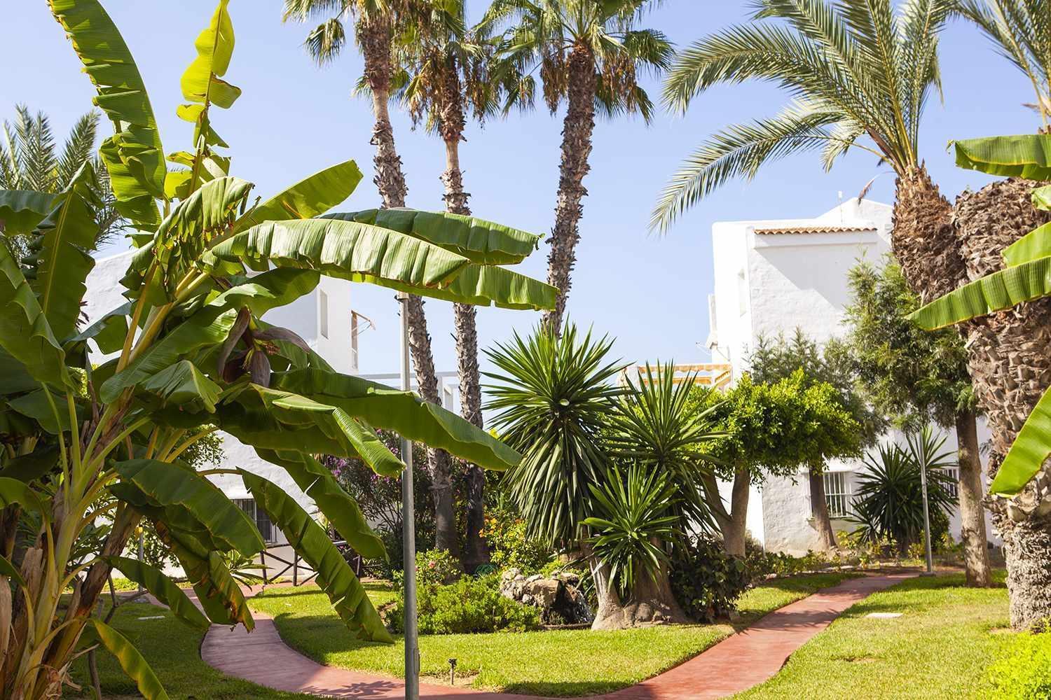 Appartamento A 100M De Playa Piscina Y Todos Los Servicios Torrox Esterno foto